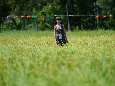 SS Rice News Convention 2025, Pattaya - Thailand